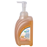Kutol, Clean Shape, Foaming Advanced Antibacterial Soap, 950 mL, Citrus, each