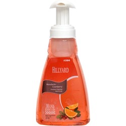 Hillyard, Mandarin Cranberry Premium Foaming Hand Soap, 14 oz. Pump Bottle, HIL0039482, Sold per bottle